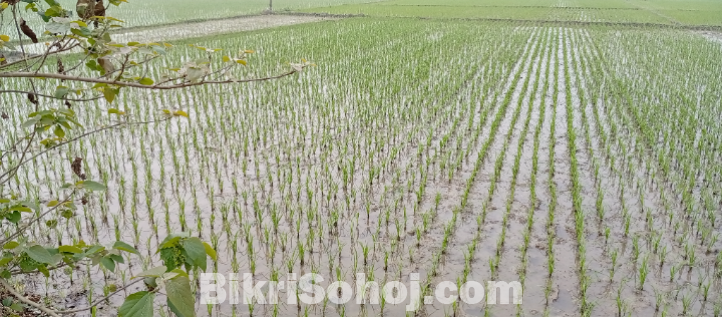 আকর্ষণীয় মূল্যে জমি বিক্রয়!